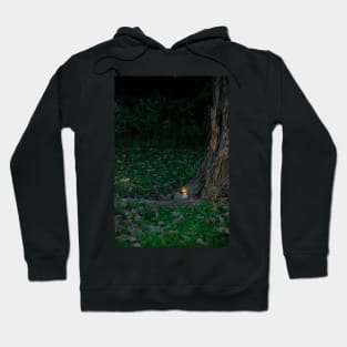 Ever Felt That You Are Being Watched? Hoodie